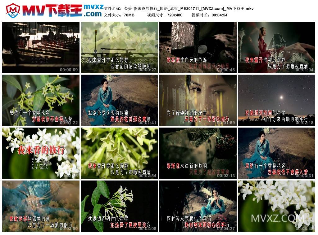 金美-夜来香的修行_国语_流行_ME301711